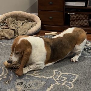 Meet your Posher, Noah